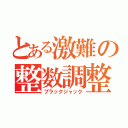 とある激難の整数調整（ブラックジャック）