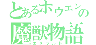 とあるホウエンの魔獣物語（エメラルド）