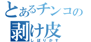 とあるチンコの剥け皮（しぼりかす）