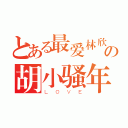 とある最爱林欣の胡小骚年（ＬＯＶＥ）