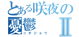 とある咲夜の憂鬱Ⅱ（ニチジョウ）