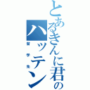 とあるきんに君のハッテン場（留学先）