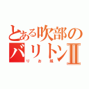 とある吹部のバリトン奏者Ⅱ（りお姐）