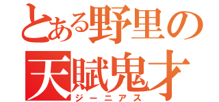 とある野里の天賦鬼才（ジーニアス）