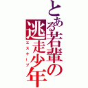 とある若輩の逃走少年（エスケープ）