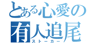 とある心愛の有人追尾（ストーカー）