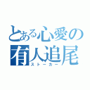 とある心愛の有人追尾（ストーカー）