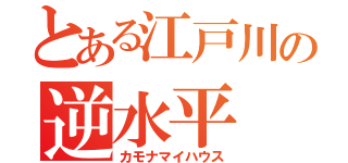 とある江戸川の逆水平（カモナマイハウス）