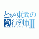 とある東武の急行列車Ⅱ（３００００）