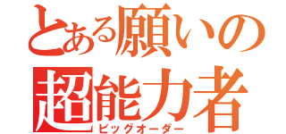 とある願いの超能力者（ビッグオーダー）