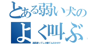 とある弱い犬のよく叫ぶ問題（道具使ってしか勝てんのかボケ）