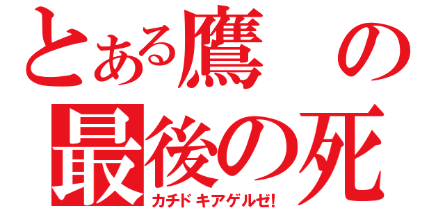 とある鷹の最後の死闘（カチドキアゲルゼ！）