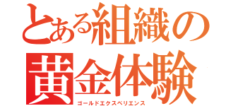 とある組織の黄金体験（ゴールドエクスペリエンス）