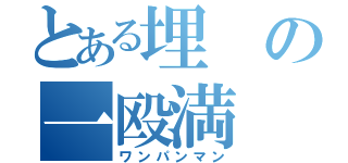 とある埋の一殴満（ワンパンマン）