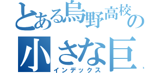 とある烏野高校の小さな巨人（インデックス）