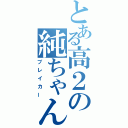 とある高２の純ちゃんだ（ブレイカー）