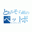 とあるそら組のペットボトルけん玉（インデックス）