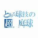 とある球技の超　庭球（テニヌ）