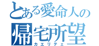 とある愛命人の帰宅所望（カエリテェ）