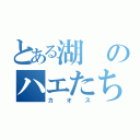 とある湖のハエたち（カオス）