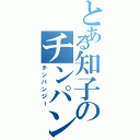 とある知子のチンパン（チンパンジー）