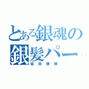 とある銀魂の銀髪パーマ（坂田銀時）