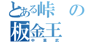 とある峠の板金王（中里武）