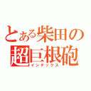 とある柴田の超巨根砲（インデックス）