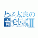 とある太良の育毛伝説Ⅱ（ヘアーレジェンド）