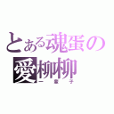 とある魂蛋の愛柳柳（一輩子）