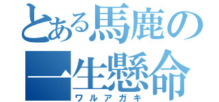 とある馬鹿の一生懸命（ワルアガキ）