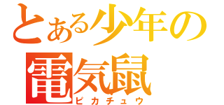 とある少年の電気鼠（ピカチュウ）