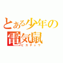 とある少年の電気鼠（ピカチュウ）