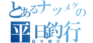 とあるナツメグの平日釣行（日々修行）