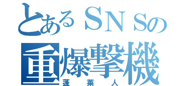 とあるＳＮＳの重爆撃機（蓬莱人）