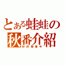 とある蛙蛙の秋番介紹（好評發售中）