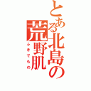 とある北島の荒野肌（ふきでもの）