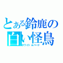 とある鈴鹿の白い怪鳥（ホワイト★バード）