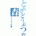 とあるどうぶつの森（どうぶつの森）