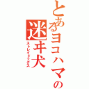 とあるヨコハマの迷ヰ犬（ストレイドッグス）