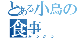 とある小鳥の食事（がつがつ）