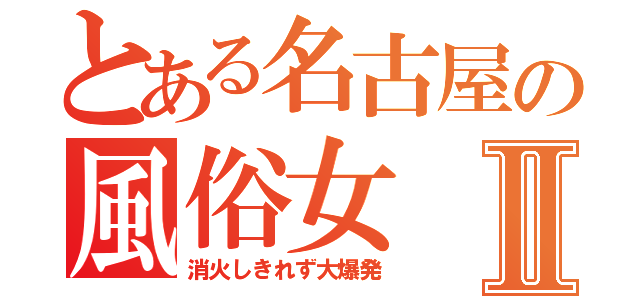 とある名古屋の風俗女Ⅱ（消火しきれず大爆発）