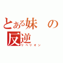 とある妹の反逆（リべリオン）