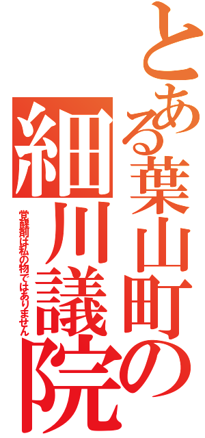 とある葉山町の細川議院（覚醒剤は私の物ではありません）