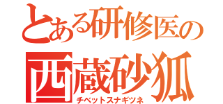 とある研修医の西蔵砂狐（チベットスナギツネ）