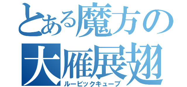 とある魔方の大雁展翅（ルービックキューブ）