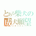 とある柴犬の成犬願望（こまつさん）