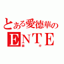 とある愛德華のＥＮＴＥＲ？（鋼仔）