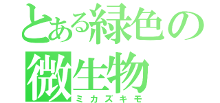 とある緑色の微生物（ミカズキモ）