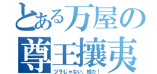 とある万屋の尊王攘夷（ヅラじゃない、桂だ！）